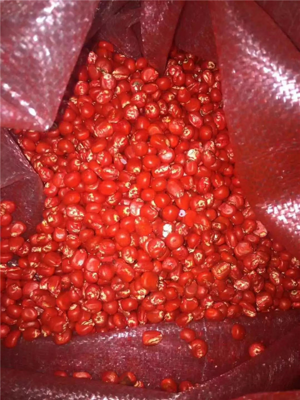 1586660407.jpg 微信图片_20200412105917.jpg