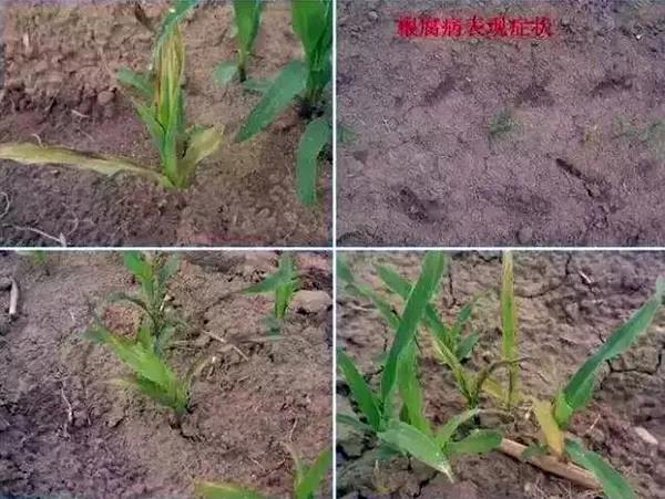 1625042157.jpg 微信图片_20210630163502.jpg