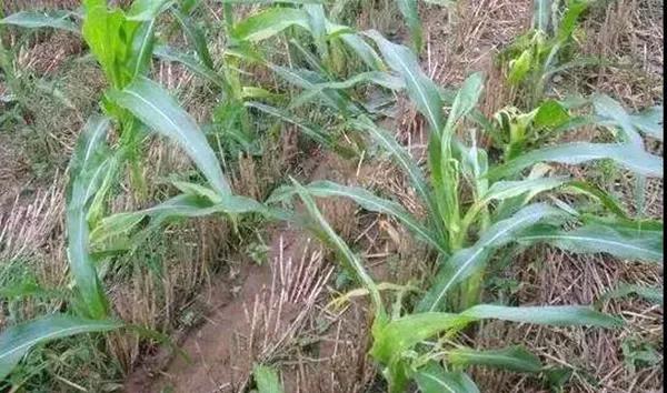 1625042164.jpg 微信图片_20210630163505.jpg