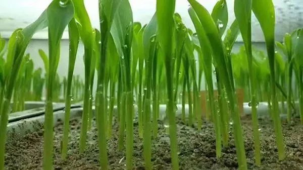 1679453369.jpg w1.jpg