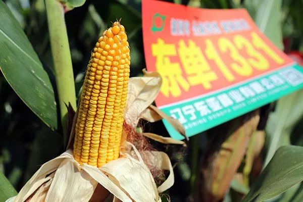 1679453891.jpg 微信图片_20230322105538.jpg