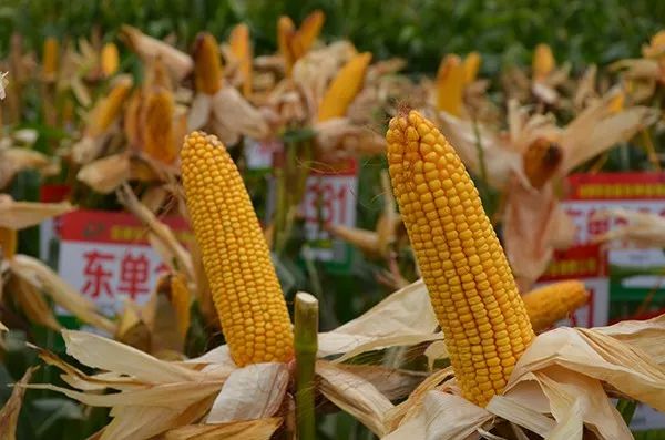 1679453899.jpg 微信图片_20230322105544.jpg