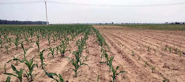 1561625181.png 微信截图_20190626164957.png