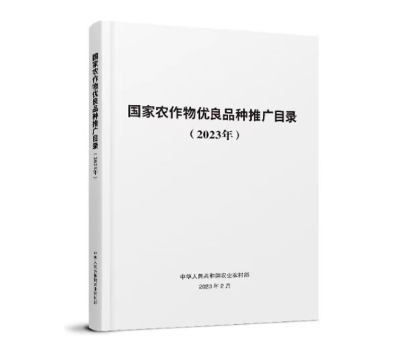 1678932803.png 4-1.png